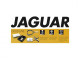 Jaguar Gold Line Advance Champion class CP4 Crane handle Convex blade  5.5" scissor.